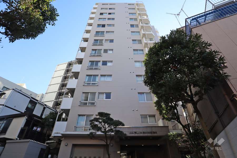 ライオンズマンション金町第2の外観(北側から)