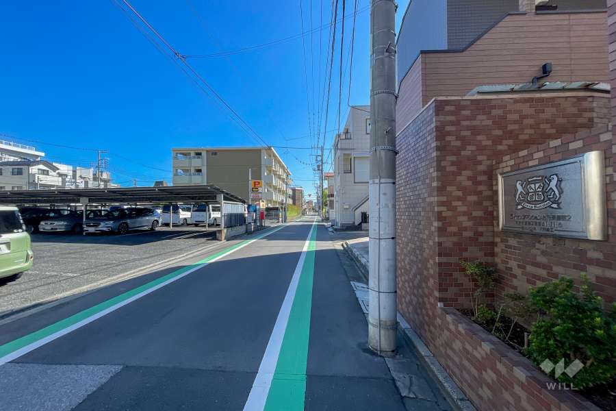 敷地の北側前面道路（西側から）