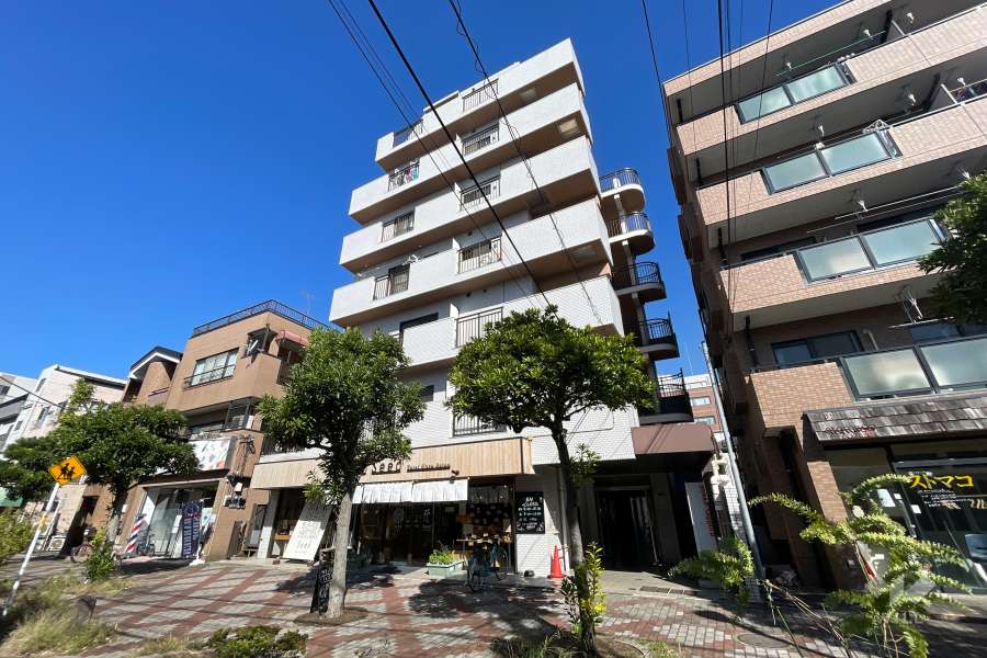 キャッスルマンションお花茶屋の外観（南東側から）