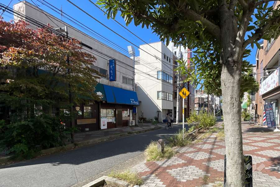 敷地の南側前面道路（東側から）