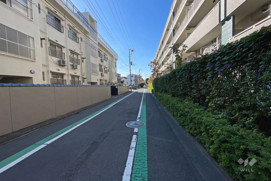 敷地の北側前面道路（東側から）