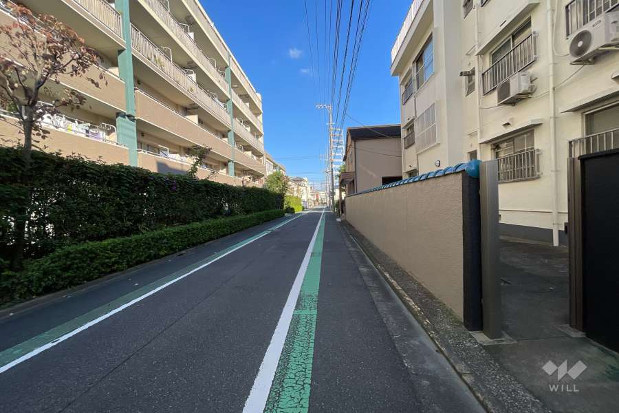 敷地の北側前面道路（西側から）