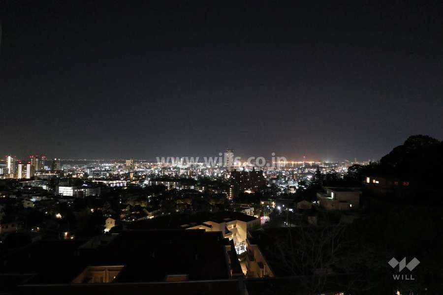 現地付近からの夜景（南方向）