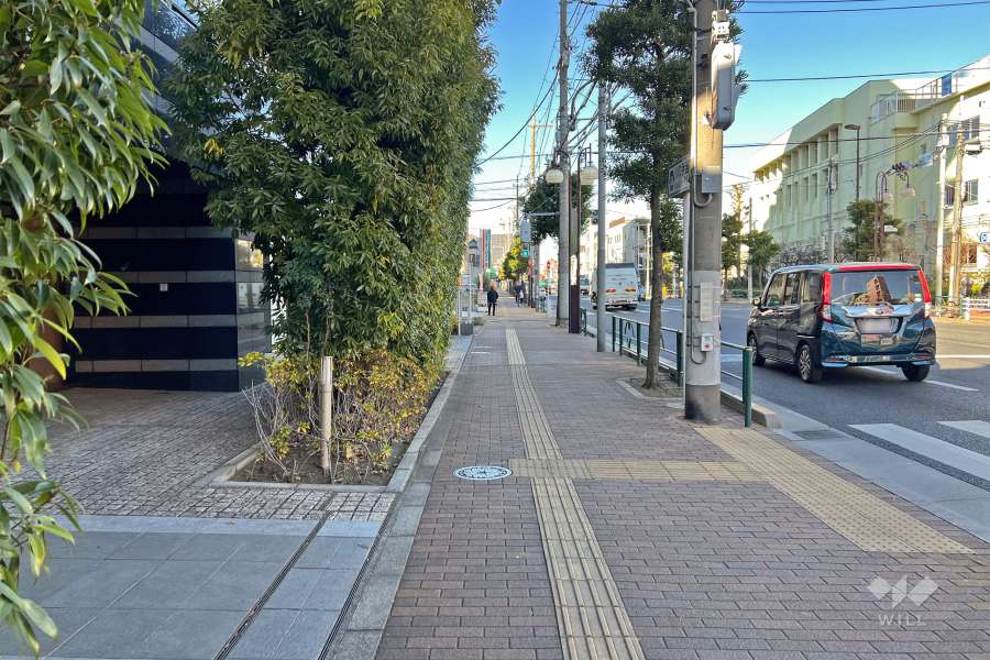 敷地東側の前面道路（南側から）