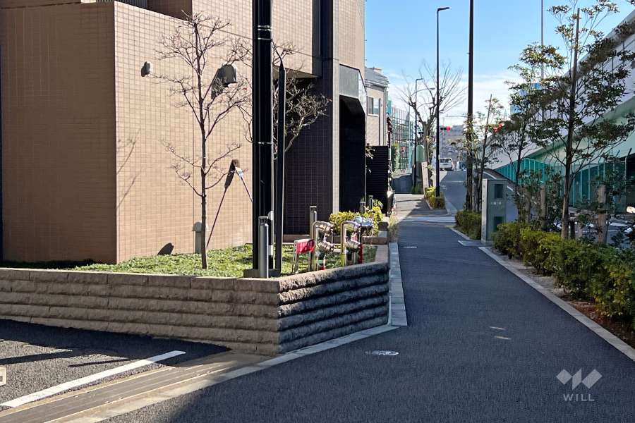 敷地西側の前面道路（北側から）