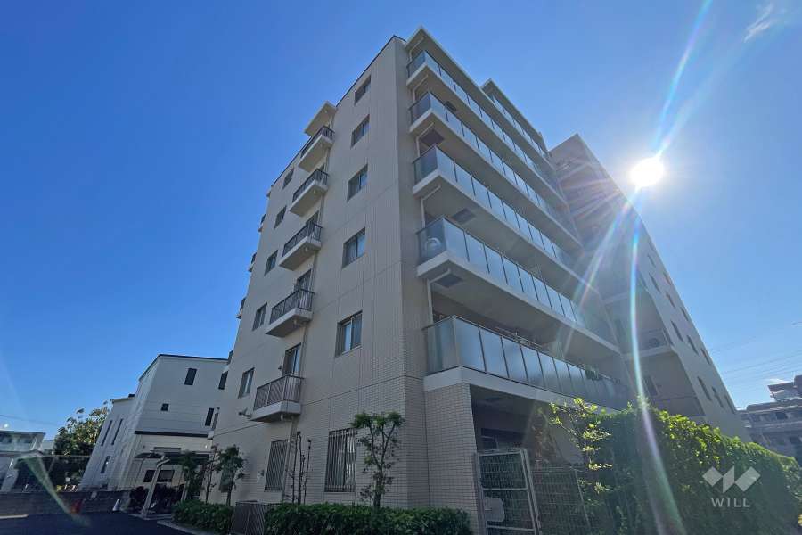 アンビシャス小岩の外観（北西側から）