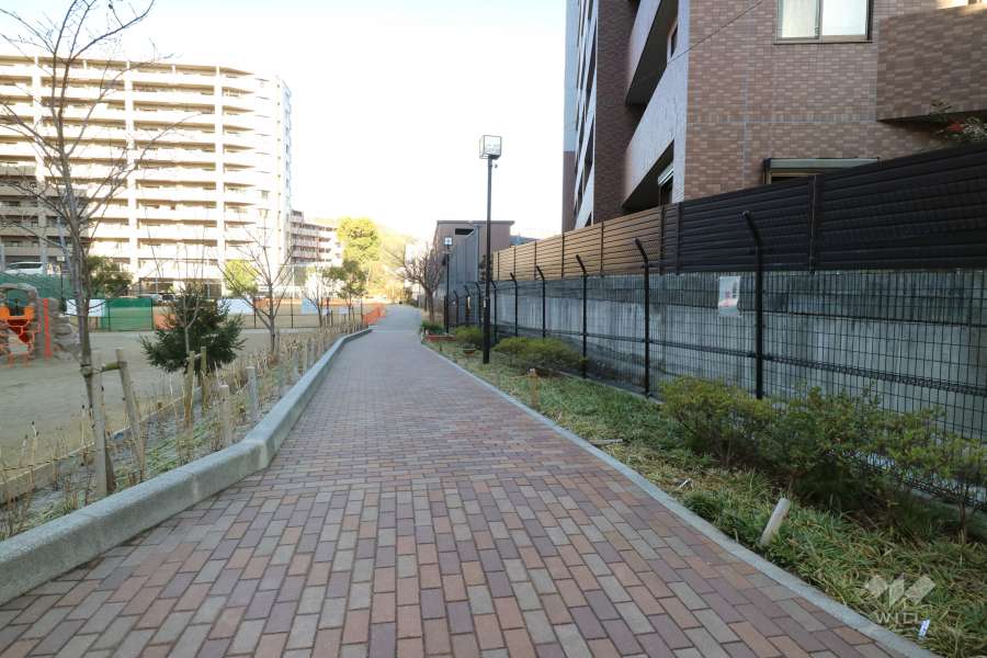 敷地南側の通路