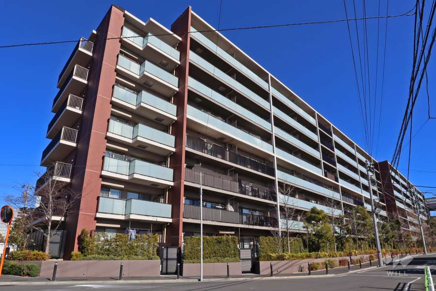 ソライエ葛飾小菅の外観(南西側から)