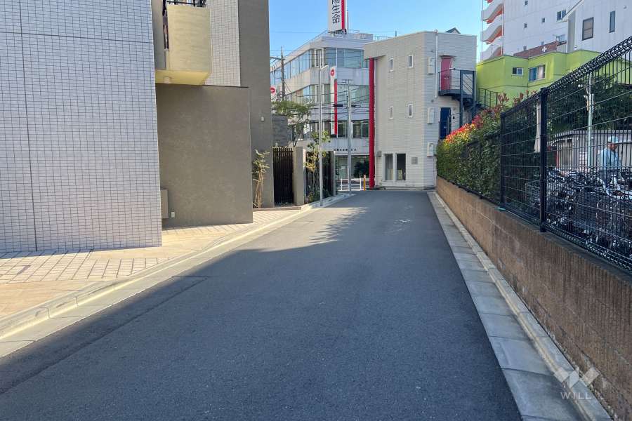 敷地の西側前面道路（北側から）