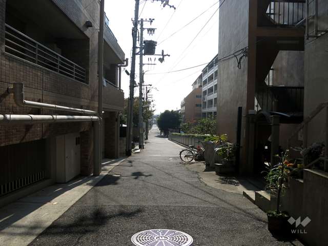 敷地東側の前面道路