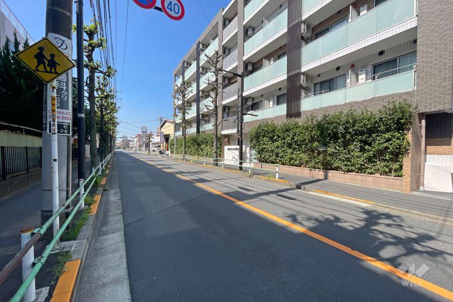 敷地南側の前面道路　