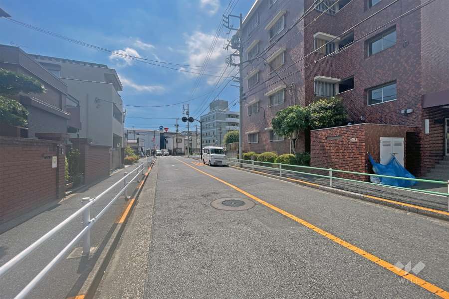 敷地の西側前面道路（北側から）