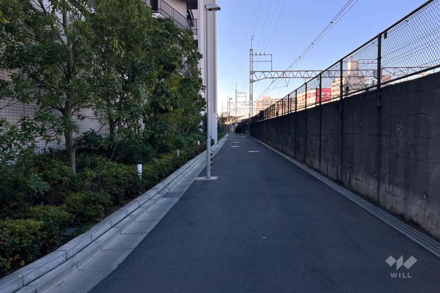 敷地北側の前面道路（東側から）