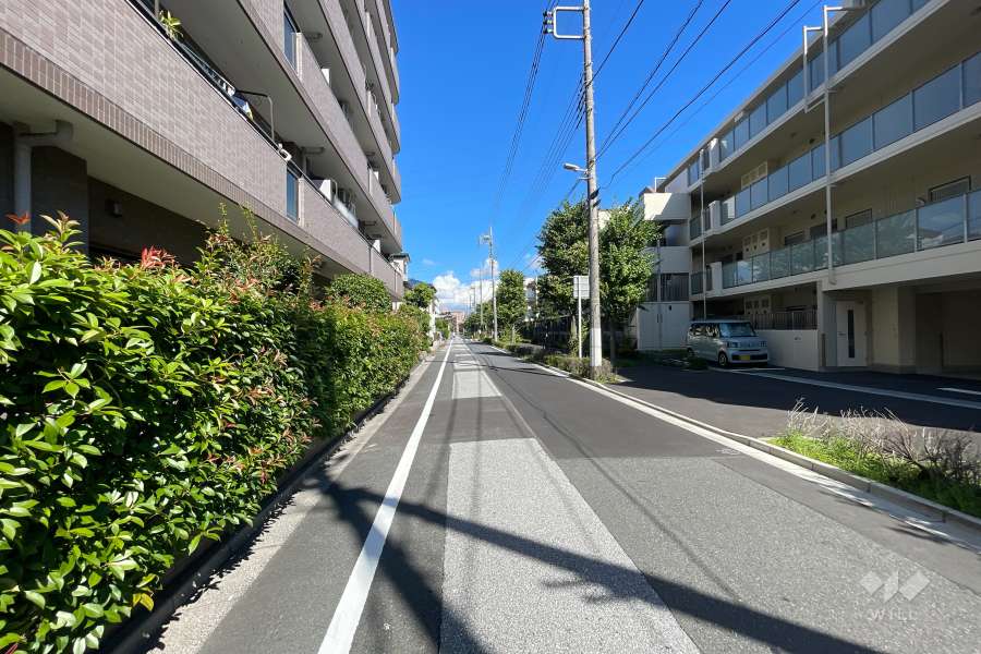 敷地北側の前面道路　