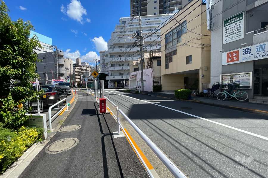 敷地の南側前面道路（西側から）