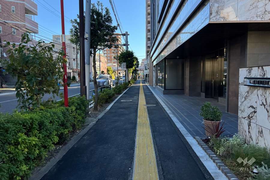 敷地の北東側前面道路（北西側から）