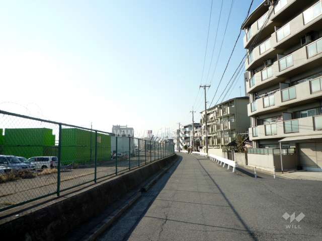 敷地南側前面道路。大阪湾近くにあります。