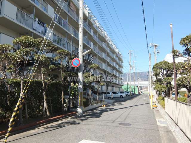 敷地東側の前面道路