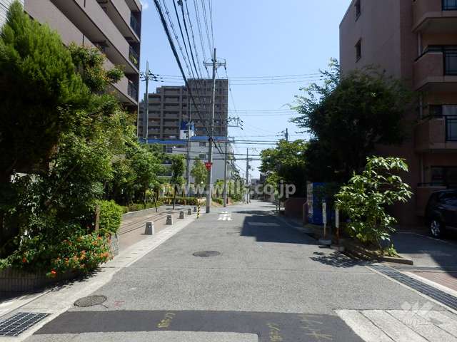 敷地南側の前面道路
