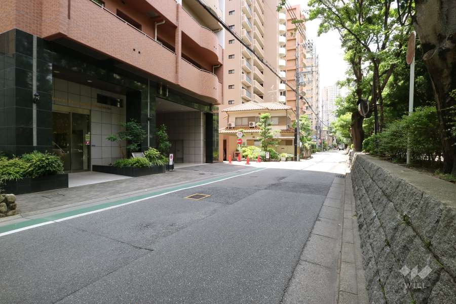 敷地北側の前面道路