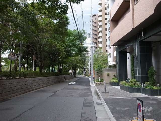敷地北側の前面道路。街路樹がきれいな歩道付きの通りです。