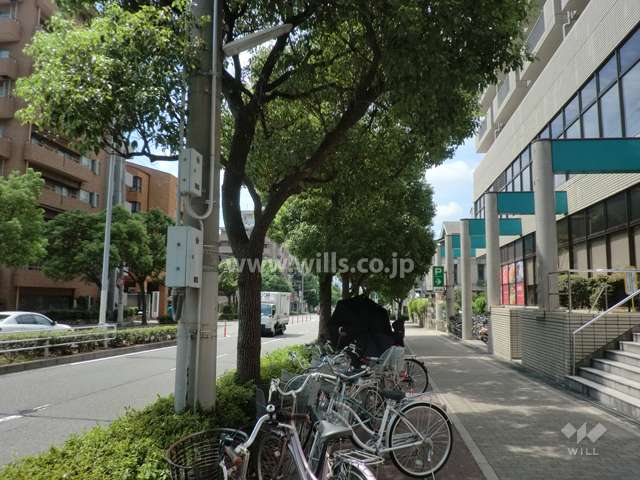 敷地南側の前面道路（山手幹線）