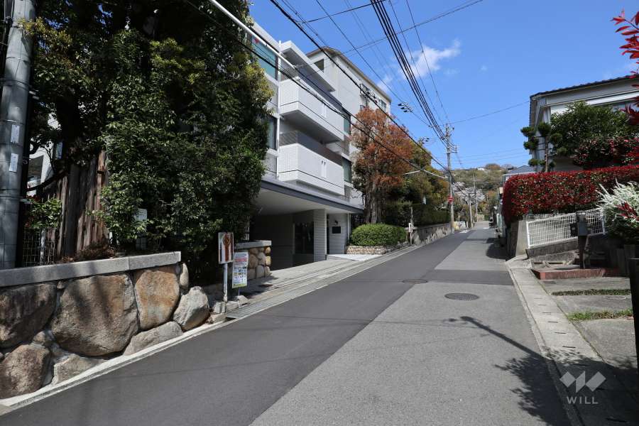 敷地東側の前面道路