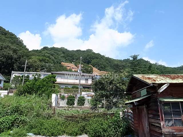 ロワ・ヴェール岡本の遠景。周辺は緑豊か。マンションと一戸建てなどが混在しています。