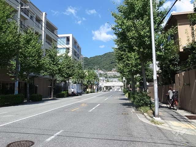 敷地東側の前面道路