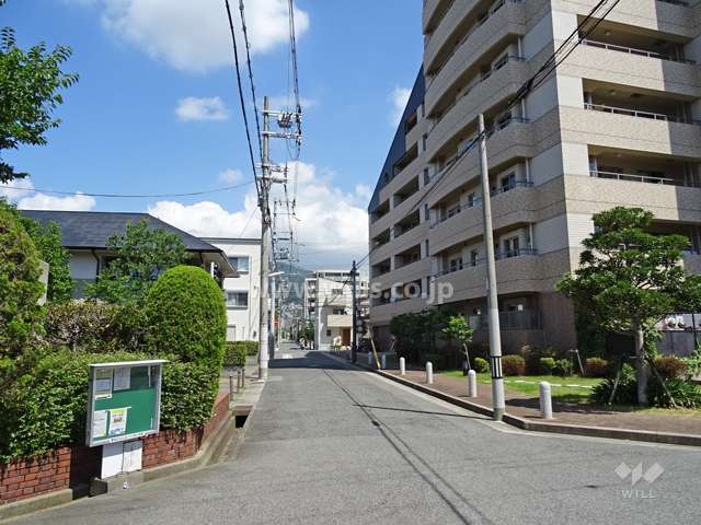 敷地西側の前面道路