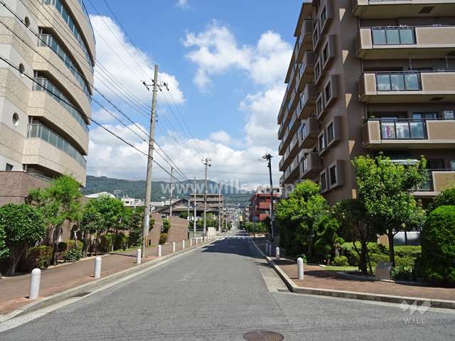 敷地東側の前面道路