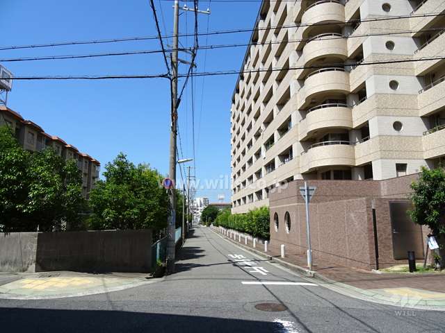 敷地南側の前面道路