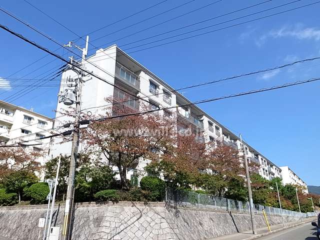 渦ヶ森コーポ11号館の外観（南側から）