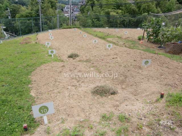 敷地南側の栽培スペース