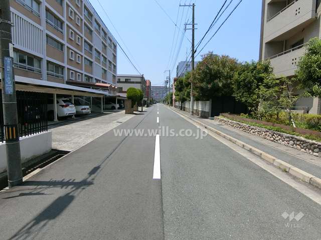 敷地北側の前面道路