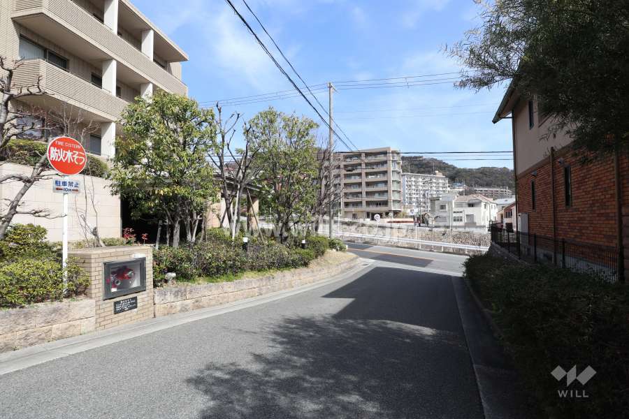 敷地南東側の前面道路