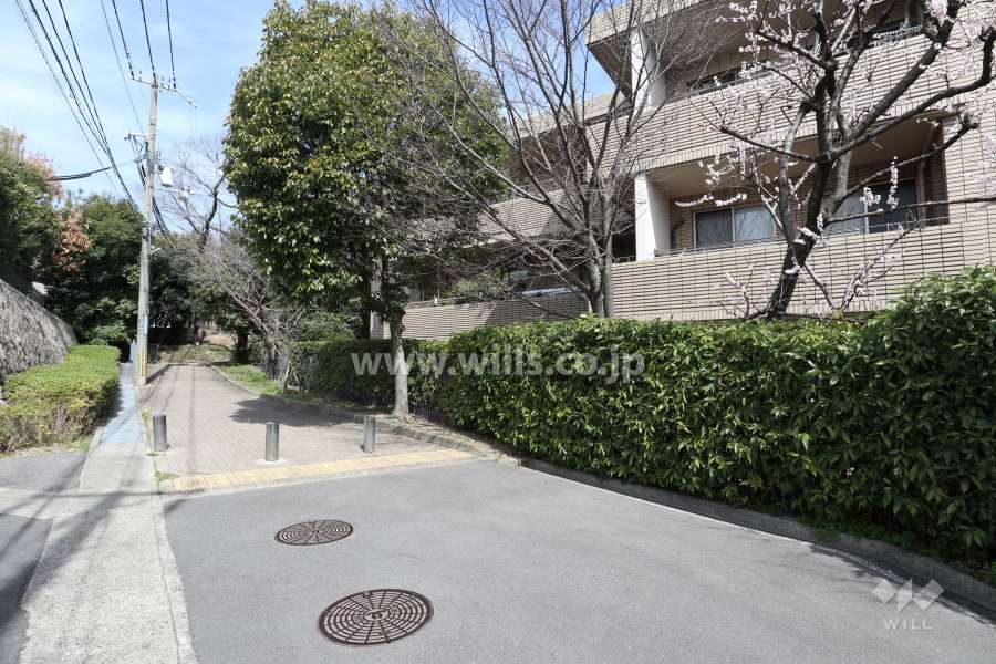 敷地南西側の前面道路