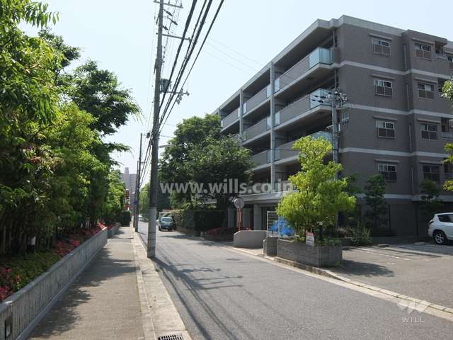 敷地南側の前面道路