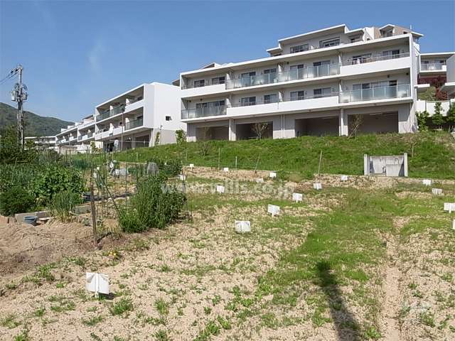 敷地南東部分にある家庭菜園スペース