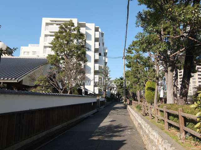 敷地東側の前面道路