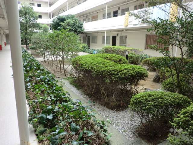 中庭