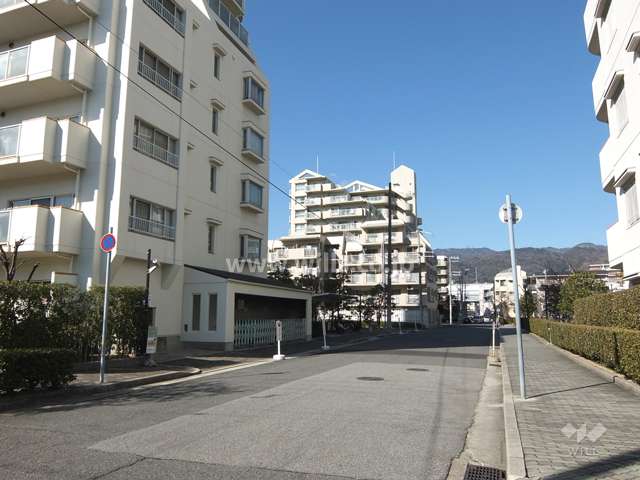 敷地東側の前面道路