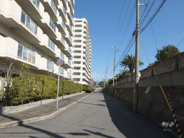 敷地南側の前面道路