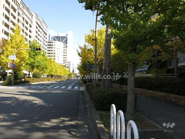 敷地北側の前面道路