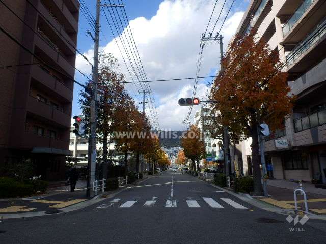 敷地東側の前面道路