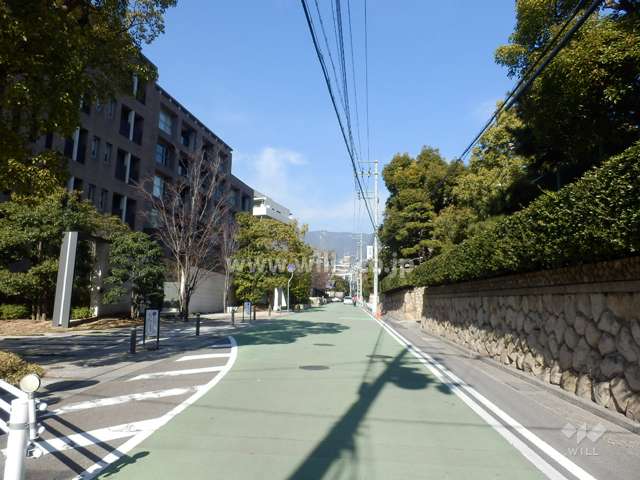 敷地東側の前面道路