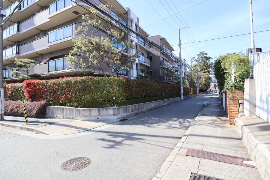 敷地東側の前面道路