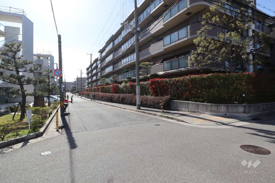 敷地南側の前面道路