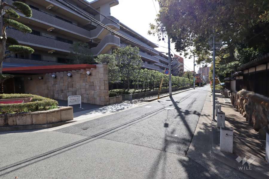 敷地北側の前面道路