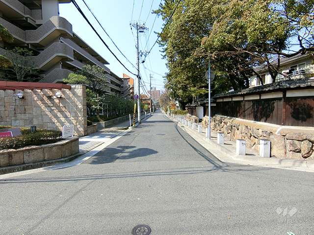 敷地北側の前面道路(東側から)